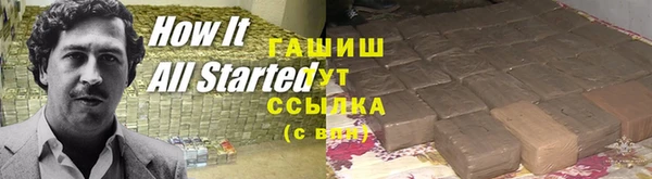 индика Абаза