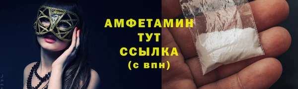 индика Абаза