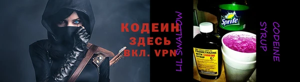 индика Абаза