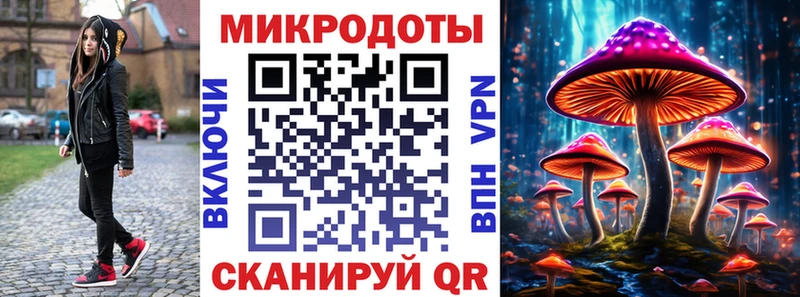 Галлюциногенные грибы Psilocybe  Уварово 